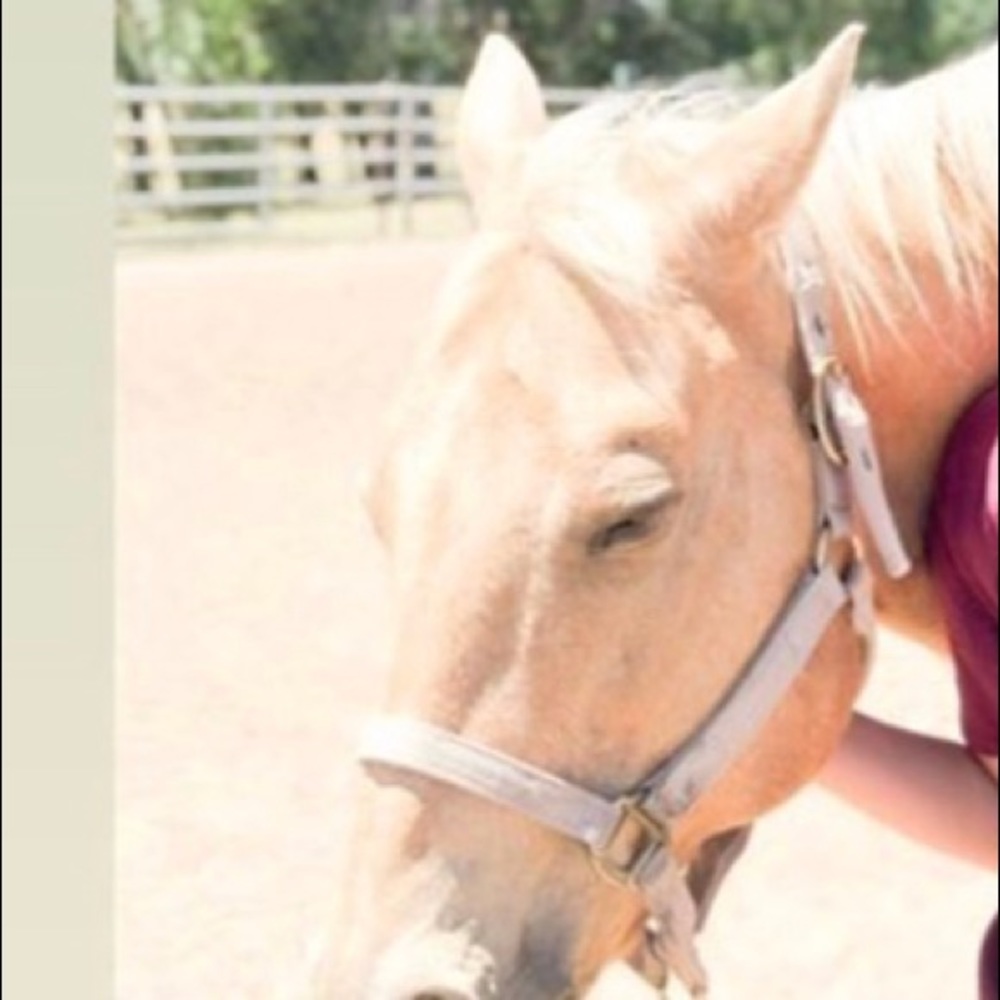 Meet your Posher, Ashlynn